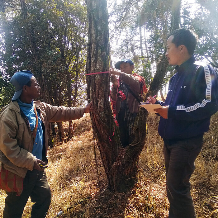 Khasi hills